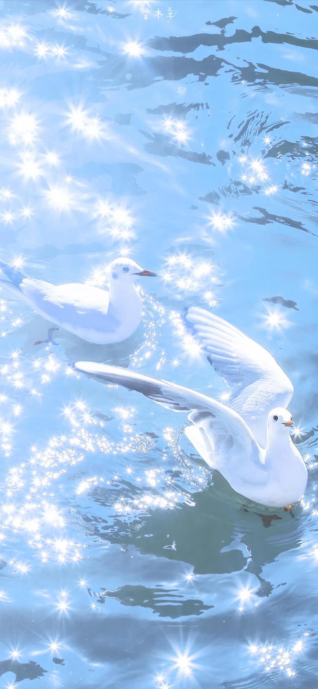 2023新年精美手机壁纸，任天堂欧服eShop开启新年折扣