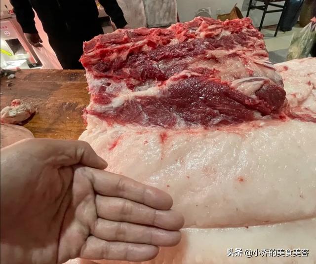 猪的部位大全图解，猪各个部位肉示意图（教你认识猪身不同部位的肉）