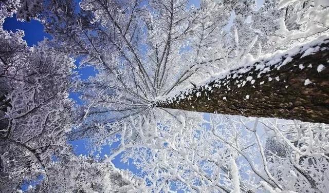 黄山冬季旅游攻略，黄山冬季旅游攻略自由行（迎接新年便开始倒计时了）