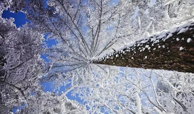 黄山冬季旅游攻略，黄山冬季旅游攻略自由行（迎接新年便开始倒计时了）