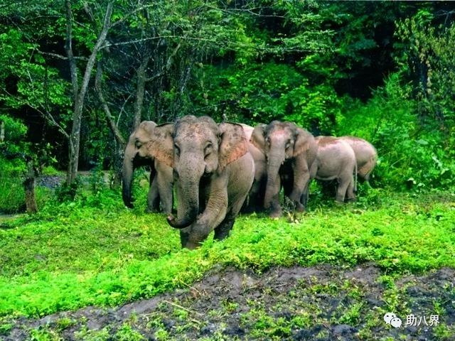 云南旅游交通图，云南自驾游最美线路图一天