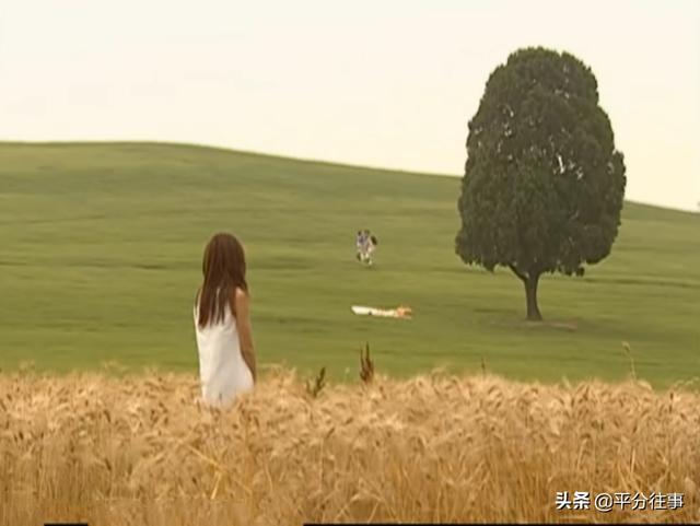 人鱼小姐最后一集，人鱼小姐最后结局解析（芮莹最后一个被通知婚事取消）