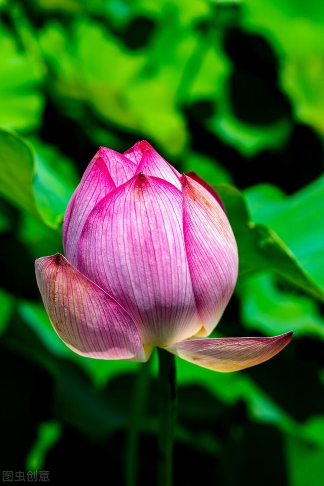  走过岁月经典语录，走过岁月的经典句子