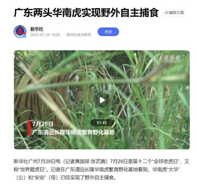 现在如何保护华南虎，广东计划探索开展华南虎放归自然工程