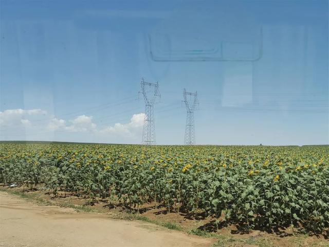 大草原旅游攻略，旅游内蒙古大草原攻略（内蒙古大草原深度自驾路线）