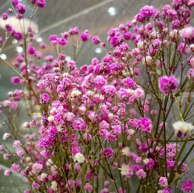 简单的花语文案，关于花的文案“做个浪漫人”