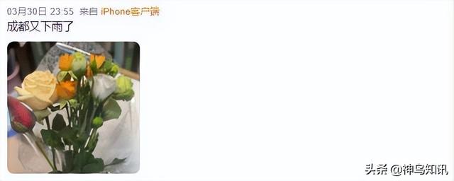 成都冬天冷不冷多少度穿什么衣服，成都又换季了