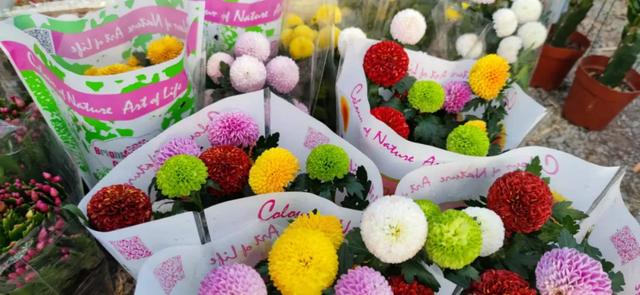 年货大集门头，年货大集一网打尽