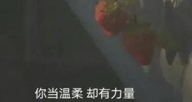 生活正能量文案，走心文案100句正能量语录（生活阳光正能量的句子）