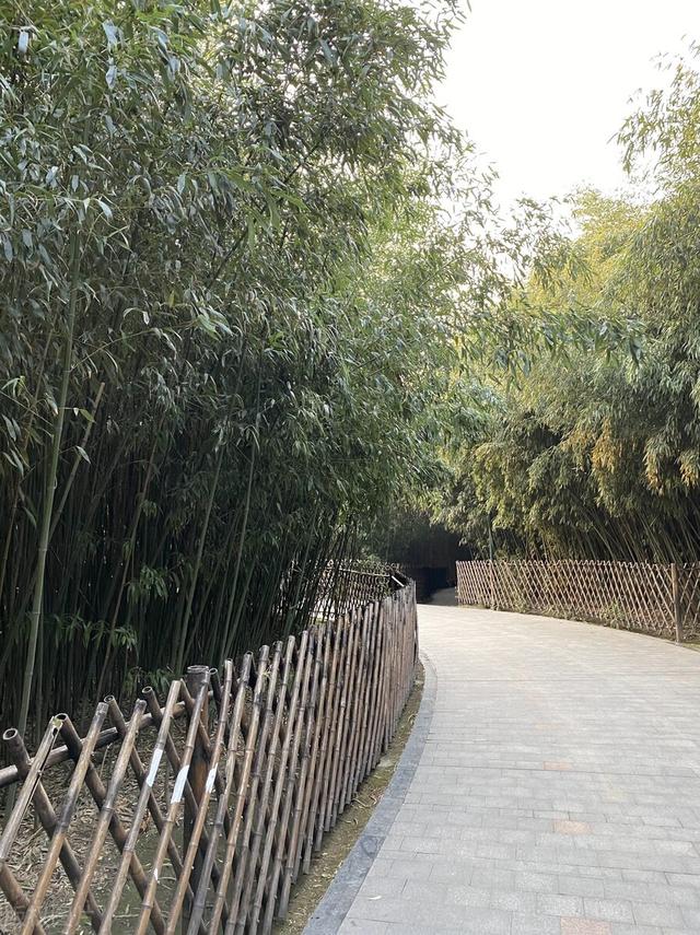 潍坊旅游景点大全，盘点潍坊免费旅游景点（潍坊旅游景点推荐）