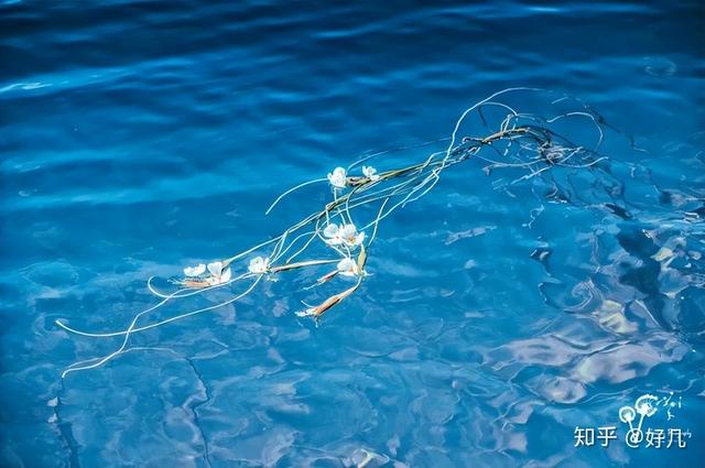 丽江古城旅游费用，丽江旅游自由行攻略及花费（想去丽江旅游的大哥们记下来,4-6月,1499玩到尽致）