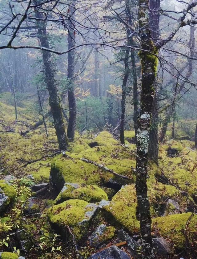 西安周边旅游攻略，西安周边游攻略送给你（收下这份家门口的游玩攻略）