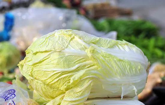 炒白菜的十种做法，教您饭店不外传诀窍