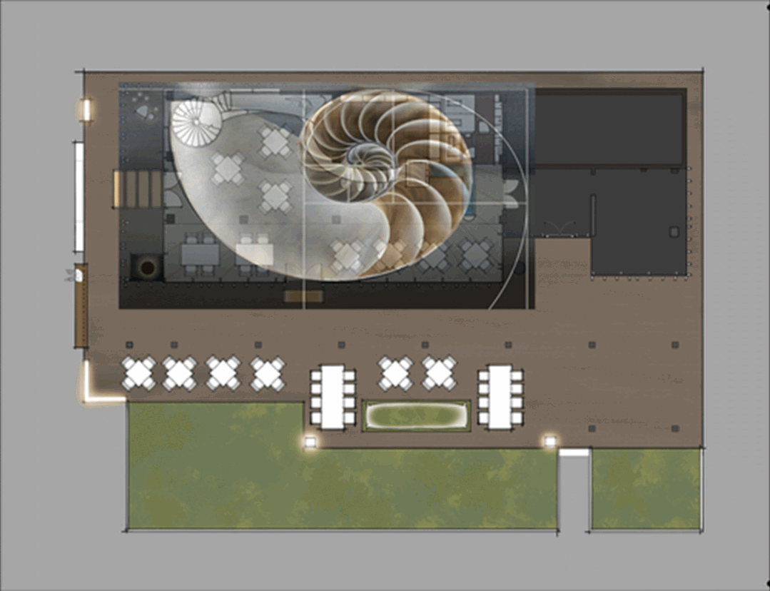 蟹小姐曝光，现在都在找蟹小姐啦