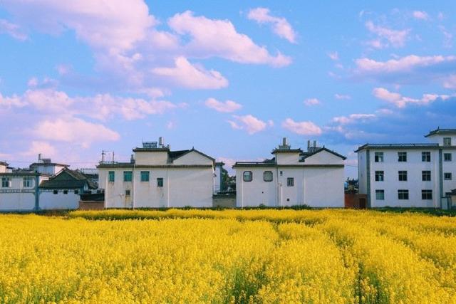 人生悟道50句语录，值得细细品悟的人生格言