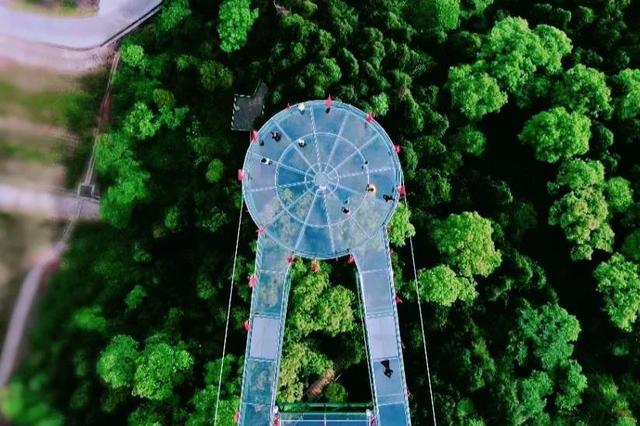 成都周边一日游，成都周边一日游风景好的地方推荐（山野间“粽”情享受）