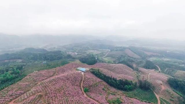 农业观光旅游攻略，休闲农业三月三不远游