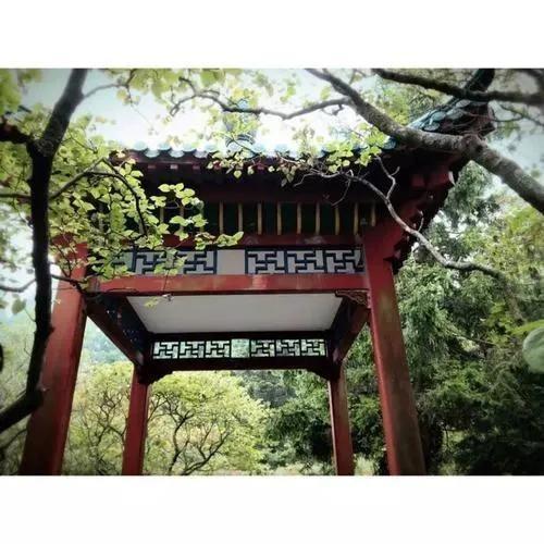 江西庐山旅游一日游，南昌到庐山一日游