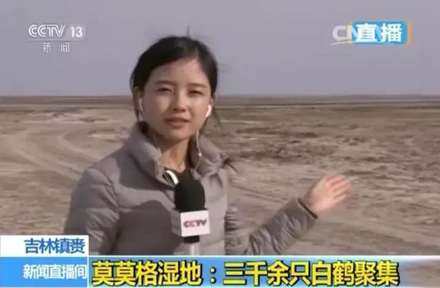 央视女记者和王冰冰一起爆红，央视又一美女记者走红