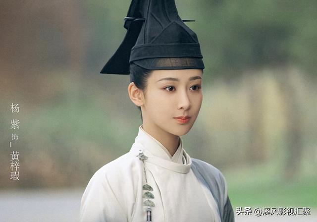 杨紫演的电视剧，杨紫拍过多少电视剧（带红了多少男明星）