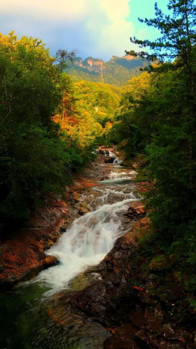 火车沿途风景最佳路线夏天，国内这些赏秋火车路线