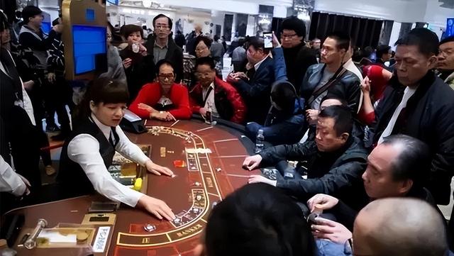 深圳黑势力抓捕情况，深圳警方缜密侦查近一年