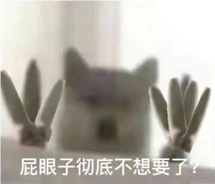 可爱小狗表情包，可爱表情包大全狗子