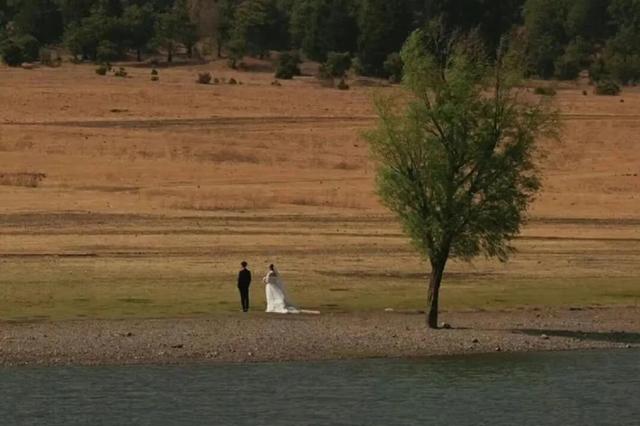 前行的路荆棘和鲜花并存文案，行走在旅途，鲜花和荆棘映衬