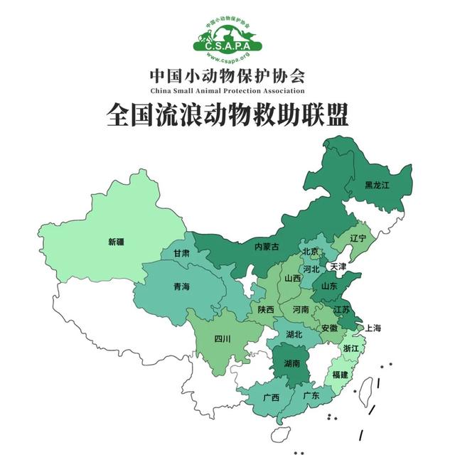 流浪动物救助站，流浪动物救助站统计（爱心人士反映四川江油流浪动物救助站动物生存环境恶劣）