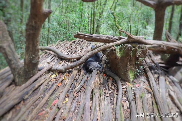 普洱到西双版纳，西双版纳普洱旅游攻略