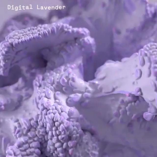 经典色系行走的流行色，2023年春夏5大流行色