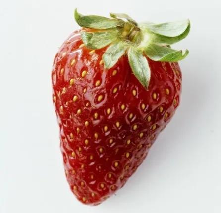 草莓是怎么形成的，草莓果实的形成过程