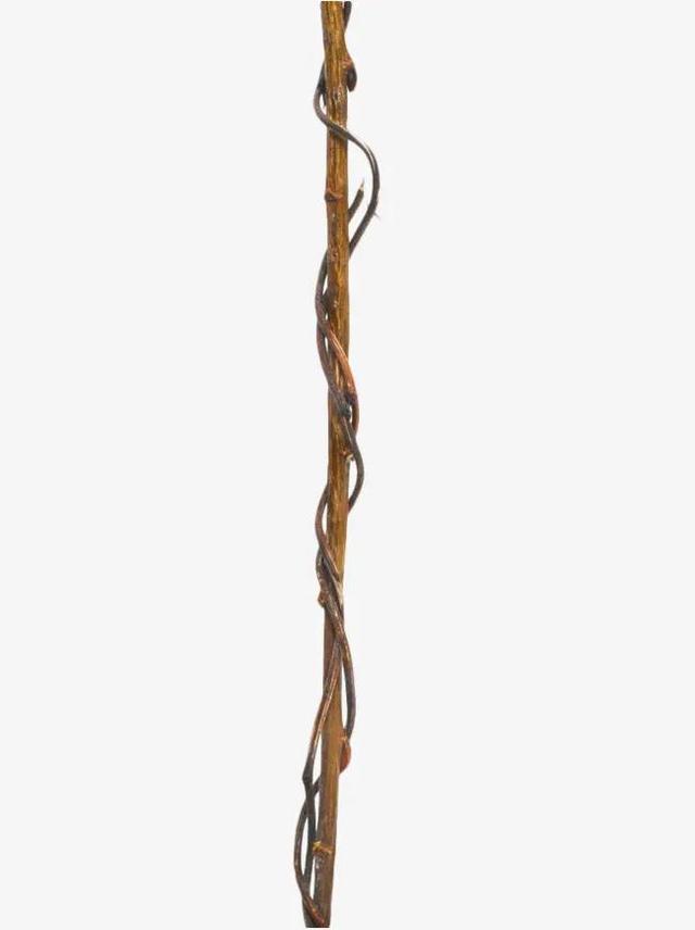 字母r可以想象成什么，wr字母组合的形象和含义