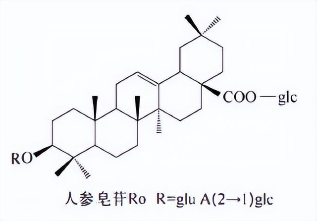 萜类的作用及功能，植物功效成分-三萜及其苷类