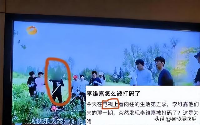 李维嘉怎么受伤的，这是怎么了网传李维嘉被