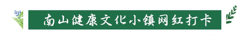 南山旅游攻略必去景点，南山旅游景区花开正好时