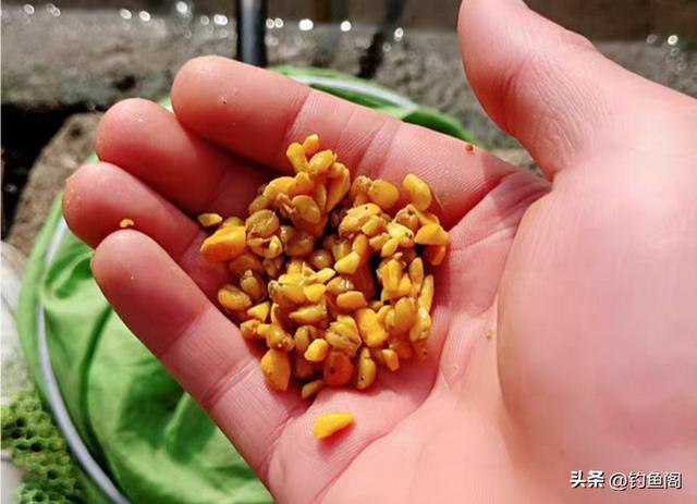 普通窝料加什么钓鱼，泡窝料最常用的几种添加剂