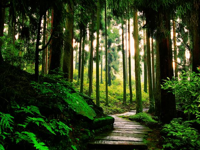 西昌三日游最佳路线，四川旅游攻略景点必去三日游