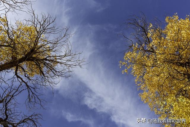 内蒙古旅游景点大全，内蒙古必看景点（盘点内蒙古26个最好玩的景区景点）