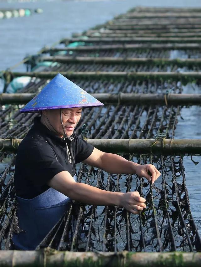 莆田美食怎么做，莆田卤面就不一定了