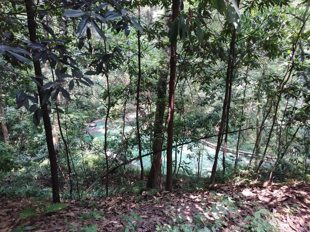 重庆短途摩旅推荐路线，重庆主城摩旅推荐之歌乐山森林公园