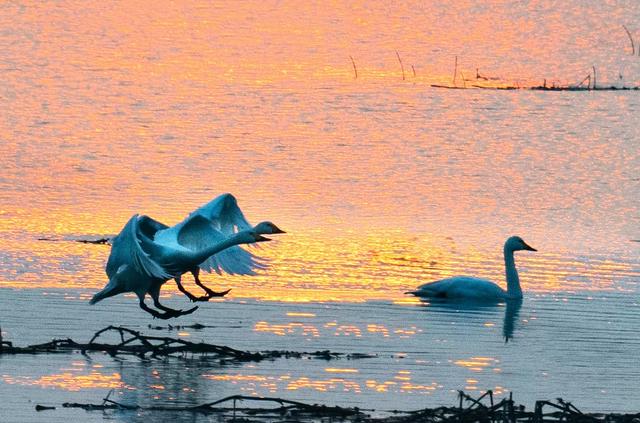 合肥周边哪些城市适合自驾游，长丰一日游景点自驾游攻略
