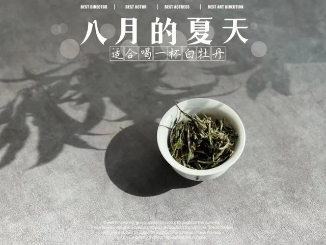 茶具哪种盖碗好，喝茶讲究用盖碗，老茶客必备之