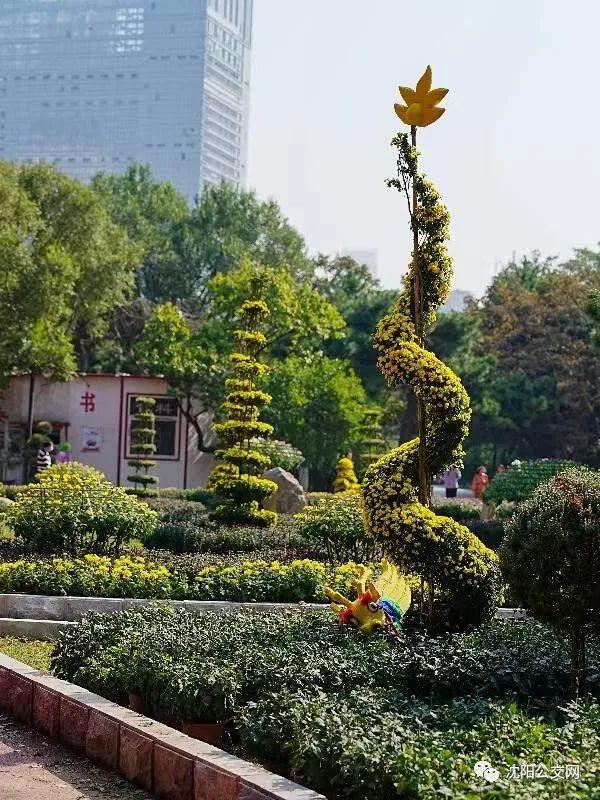 我们身边的沈阳，他曾数十次翱翔在沈阳的上空