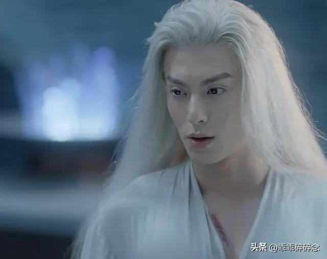 王鹤棣个人简介，认识与王鹤棣合作过的所有女主