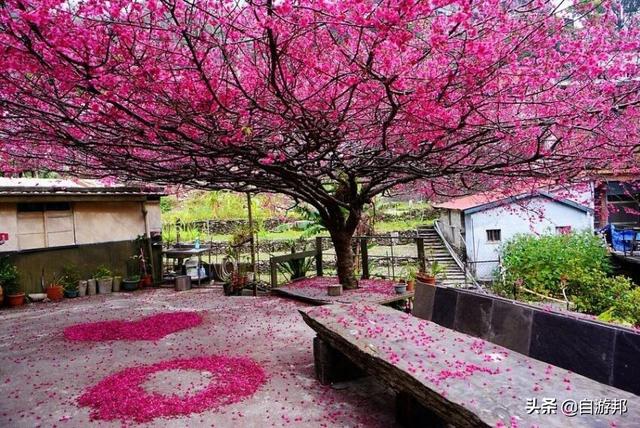 日本赏樱花著名景点，这些赏樱地等你打卡