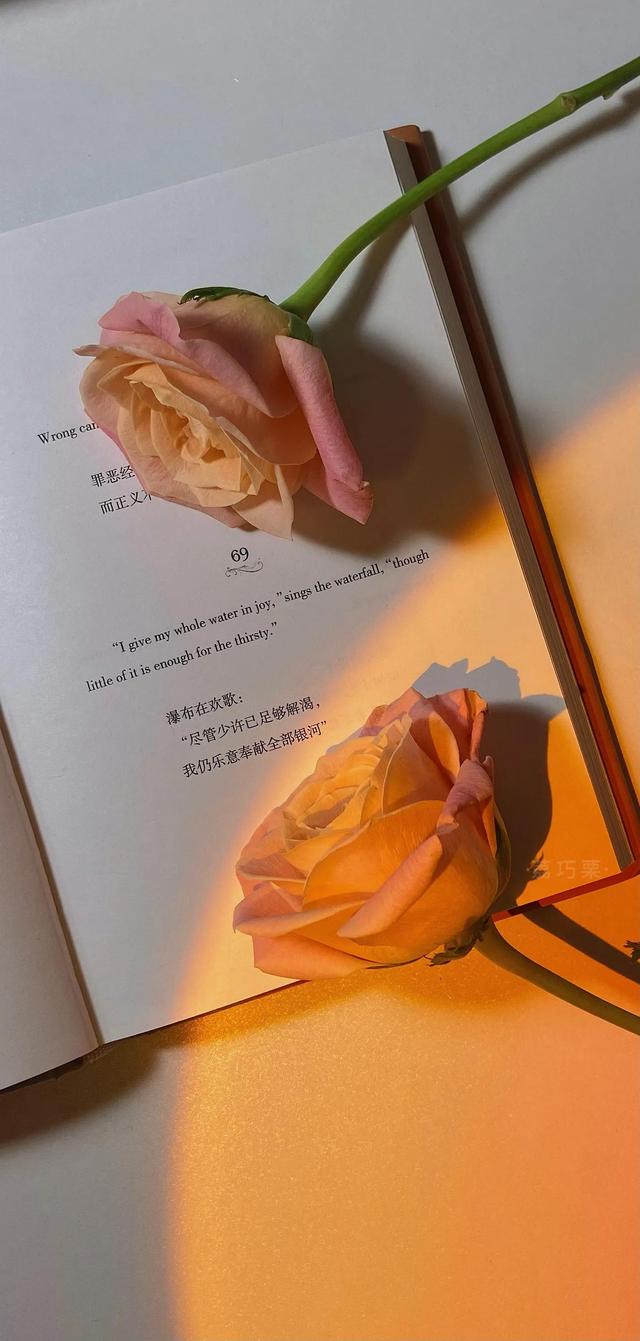 为何异性在网上特别容易聊出感情？