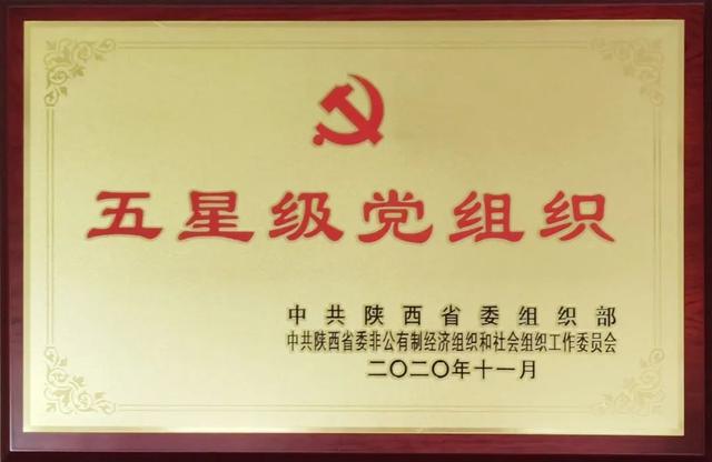 秦商总会成立十周年，秦商总会成立十周年暨全球秦商喜迎党的二十大活动圆满举办