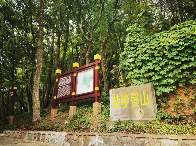 茅山风景区华阳洞，你想要的田园生活来了