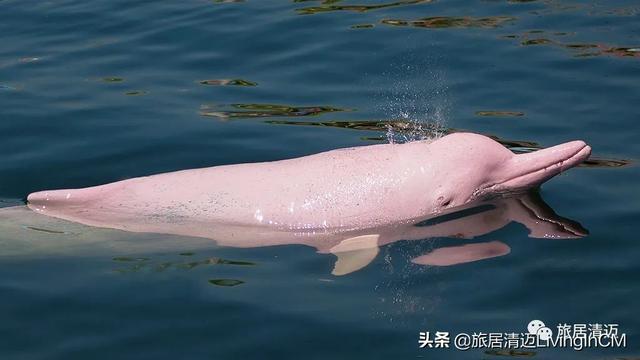泰国清迈的房价2022年，最新泰国地价评估